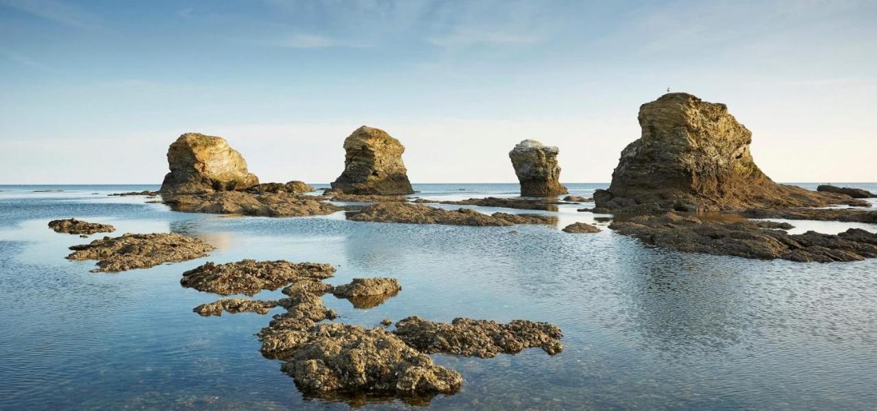 Appart Bord De Mer, 6 Places, Plage, Dune, Parking Gratuit, Rez De Chaussee سا يْليرْ دو ري المظهر الخارجي الصورة